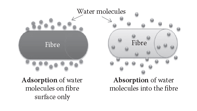 Mechanism of absorption and adsorption
